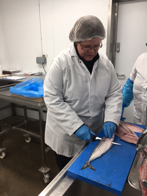 Staff at Polaris Learning filleting fish at Lunar Freezing