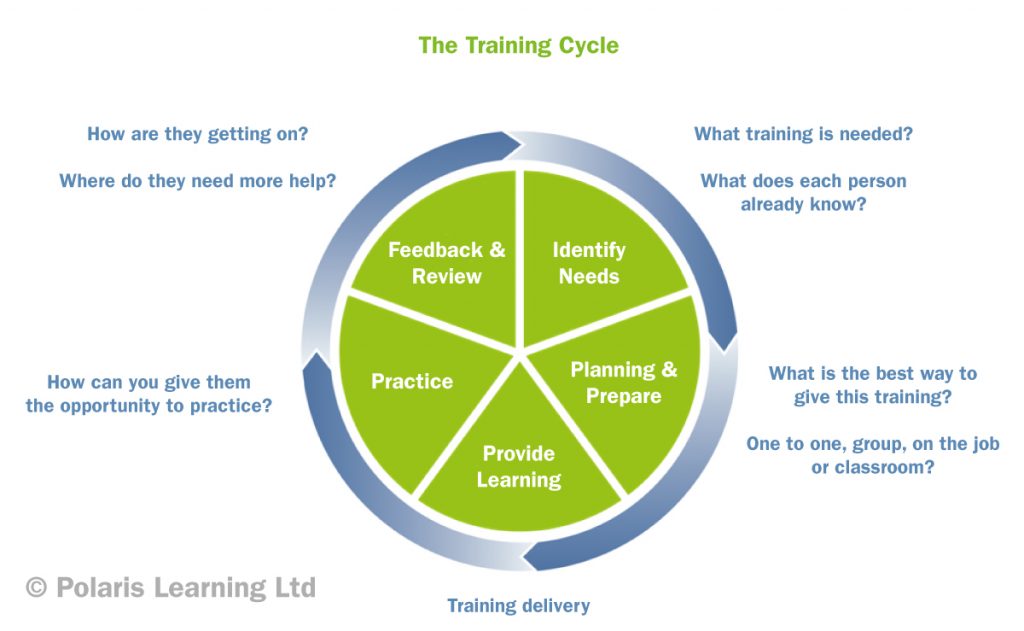 The Training Cycle
